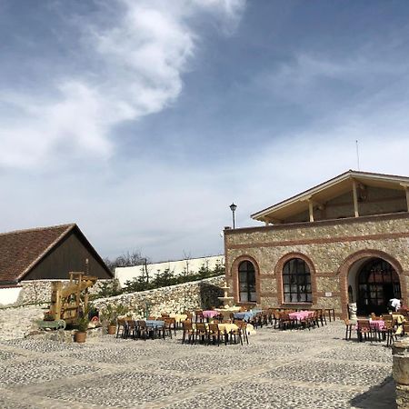 Conacul Maria Theresa Orlat Екстериор снимка