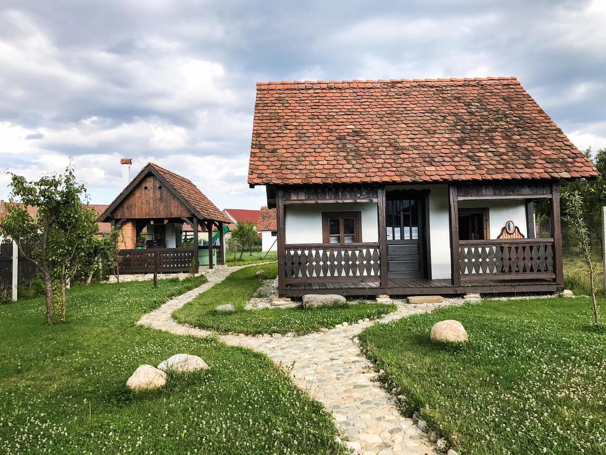 Conacul Maria Theresa Orlat Екстериор снимка